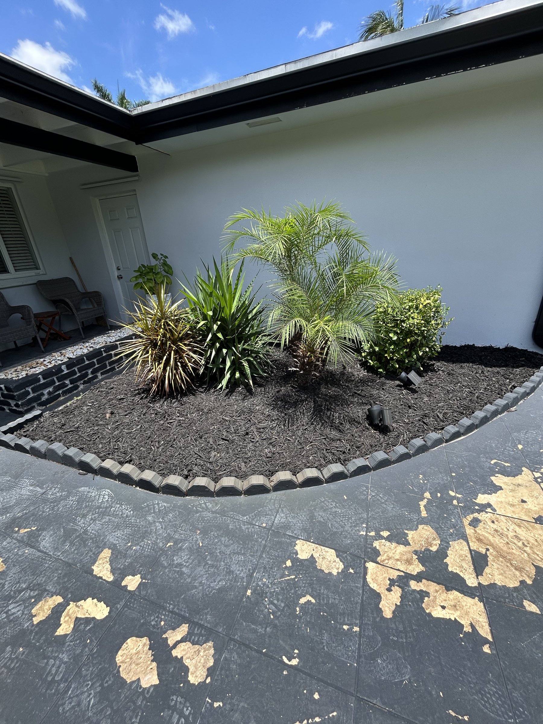 Professionally landscaped palm bed with dark mulch in Broward County, FL