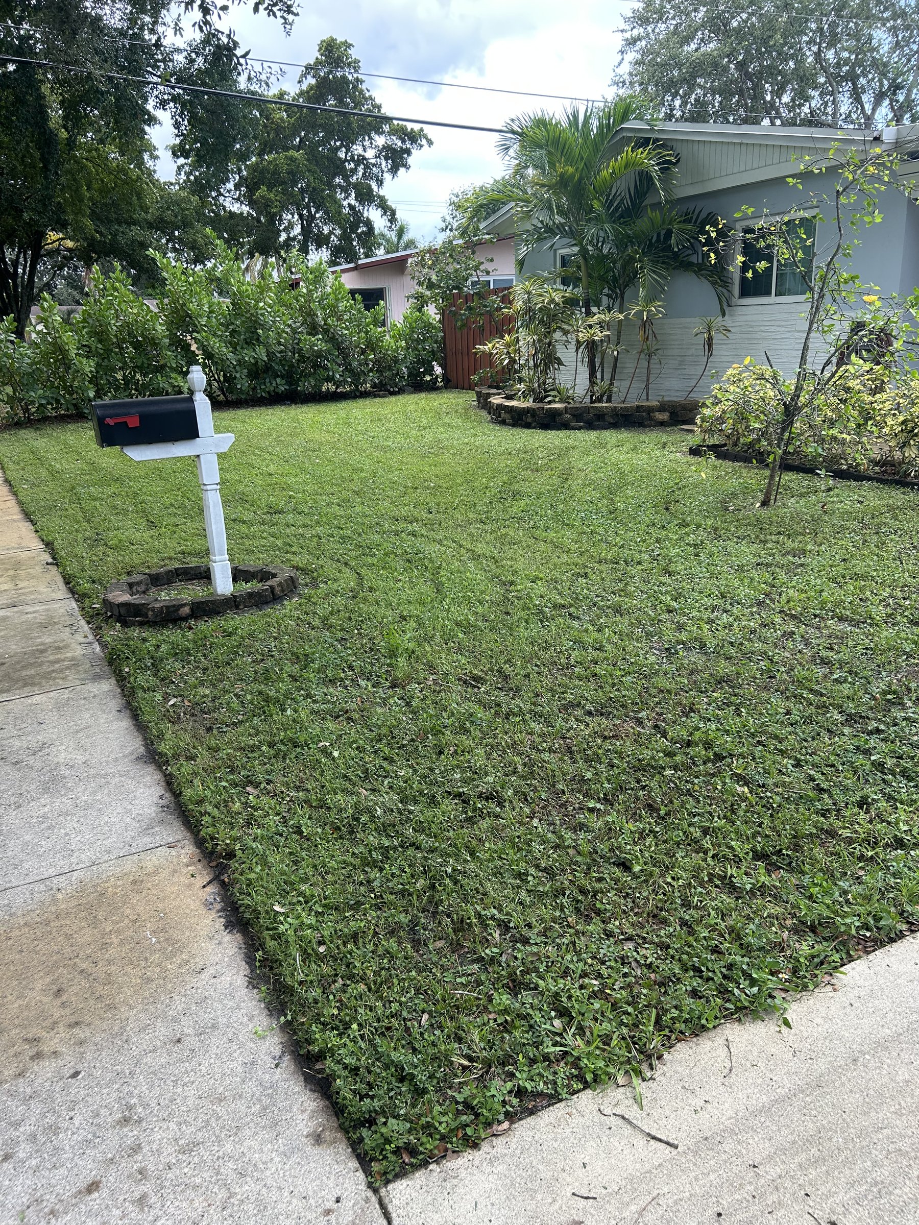 Neat residential front lawn in Broward County FL with sidewalk edging and landscaped beds