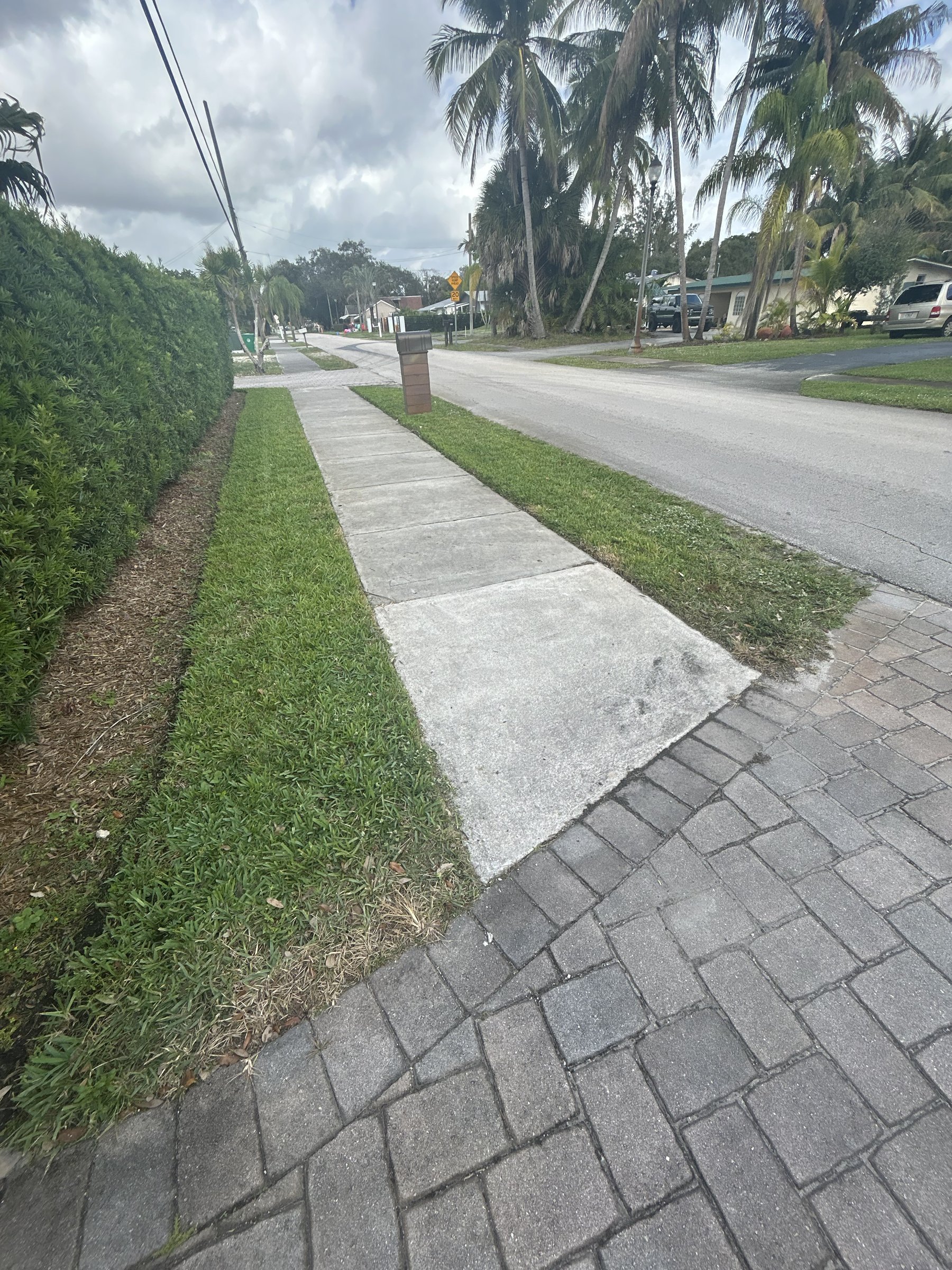 Crisp grass strips between privacy hedge, sidewalk, and street after edging
